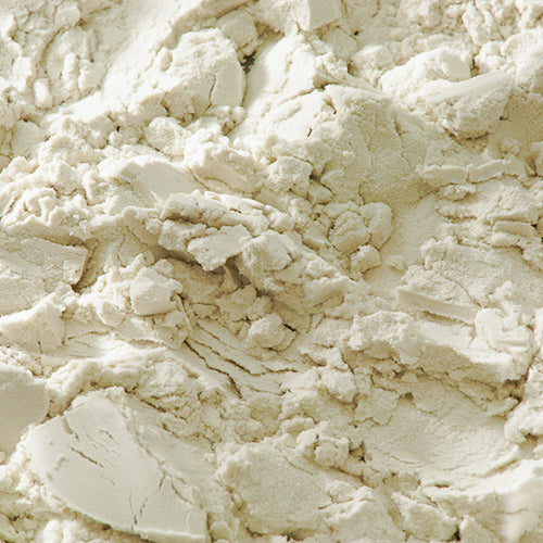 天然 盛上 - PIGMENT TOKYO