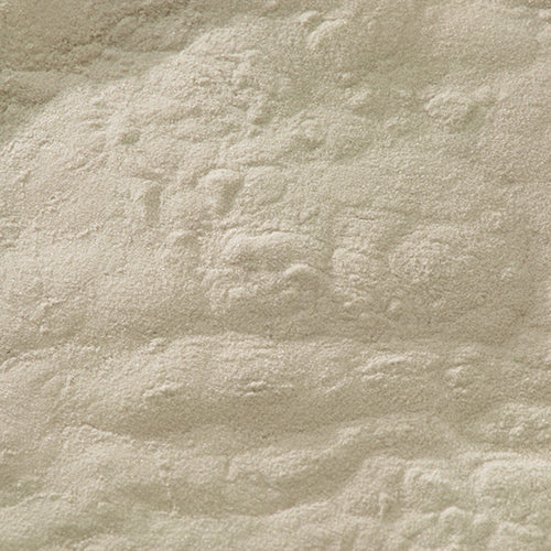 Shin-iwa Iwa Nezumi