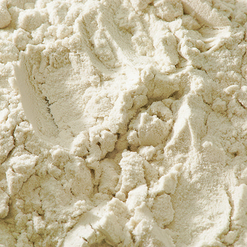 天然 盛上 - PIGMENT TOKYO