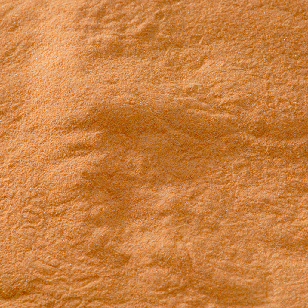 天然 岩朱土 - PIGMENT TOKYO