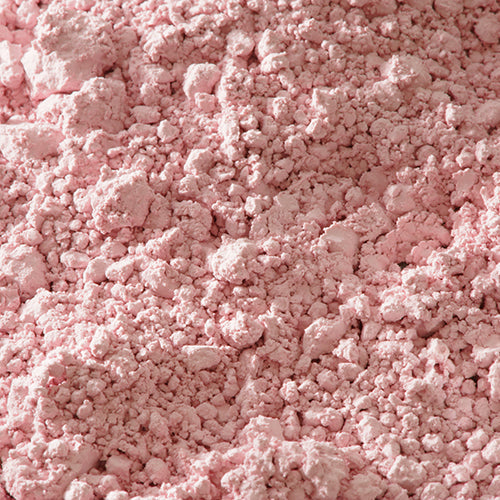 新岩 岩桃 - PIGMENT TOKYO