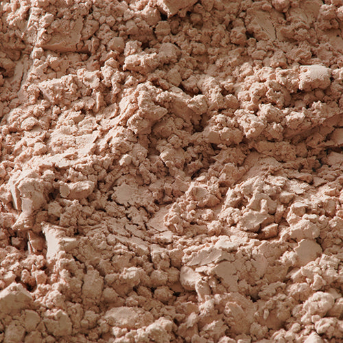 天然 赤口小豆茶 - PIGMENT TOKYO