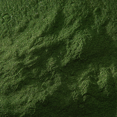 新岩 焼緑青 - PIGMENT TOKYO