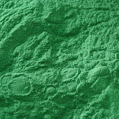 京上 松葉緑青 - PIGMENT TOKYO