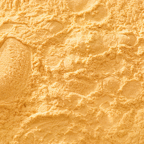 天然 岩黄土 - PIGMENT TOKYO