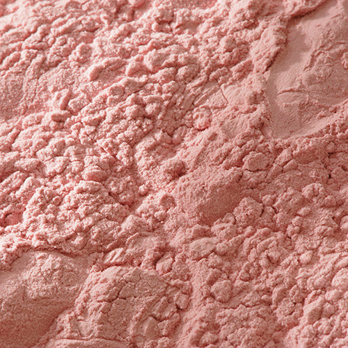 新岩 岩桃 - PIGMENT TOKYO