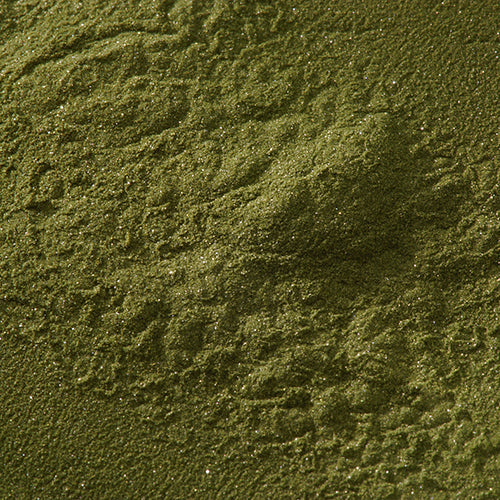 天然 杉葉色 - PIGMENT TOKYO