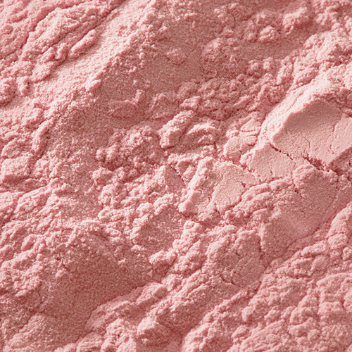 京上 藤袴 - PIGMENT TOKYO