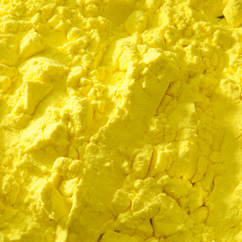 京上 カナリア黄 - PIGMENT TOKYO