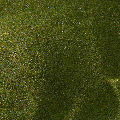 新岩 鶯 - PIGMENT TOKYO