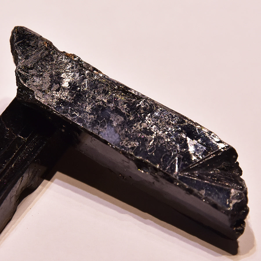 天然 杉葉色 - PIGMENT TOKYO