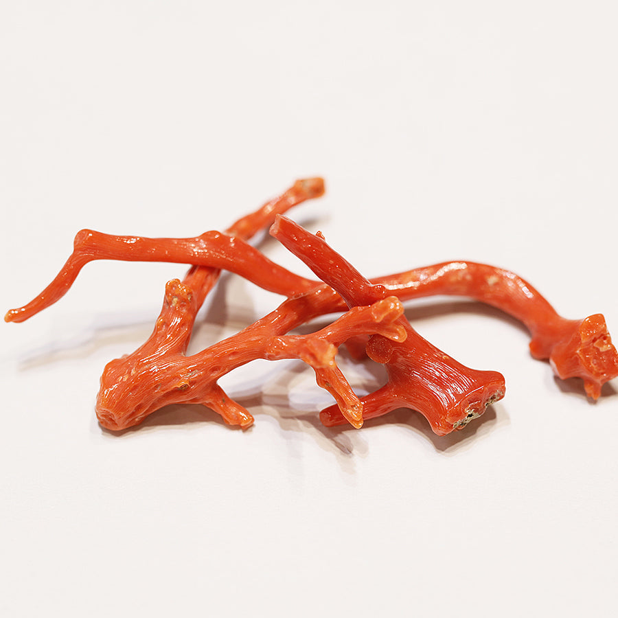 天然 濃口珊瑚末 - PIGMENT TOKYO