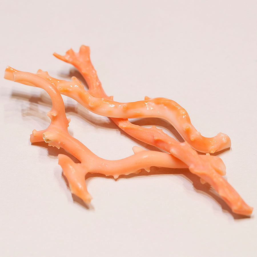 天然 淡口珊瑚末 - PIGMENT TOKYO