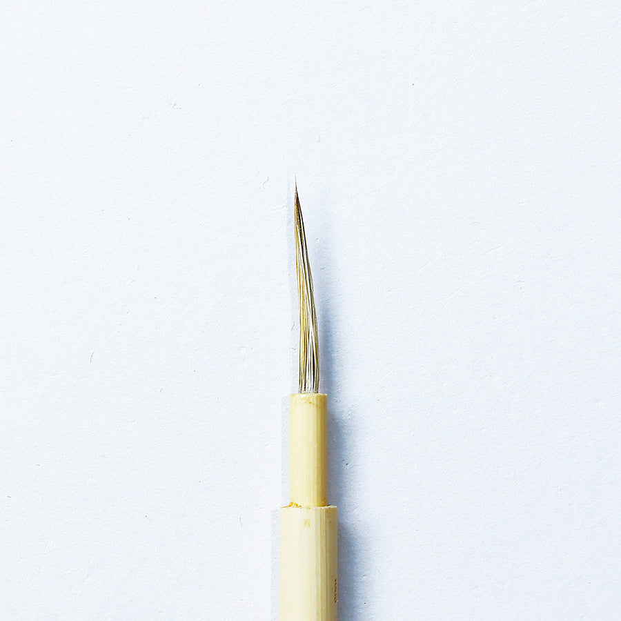 白狸毛書