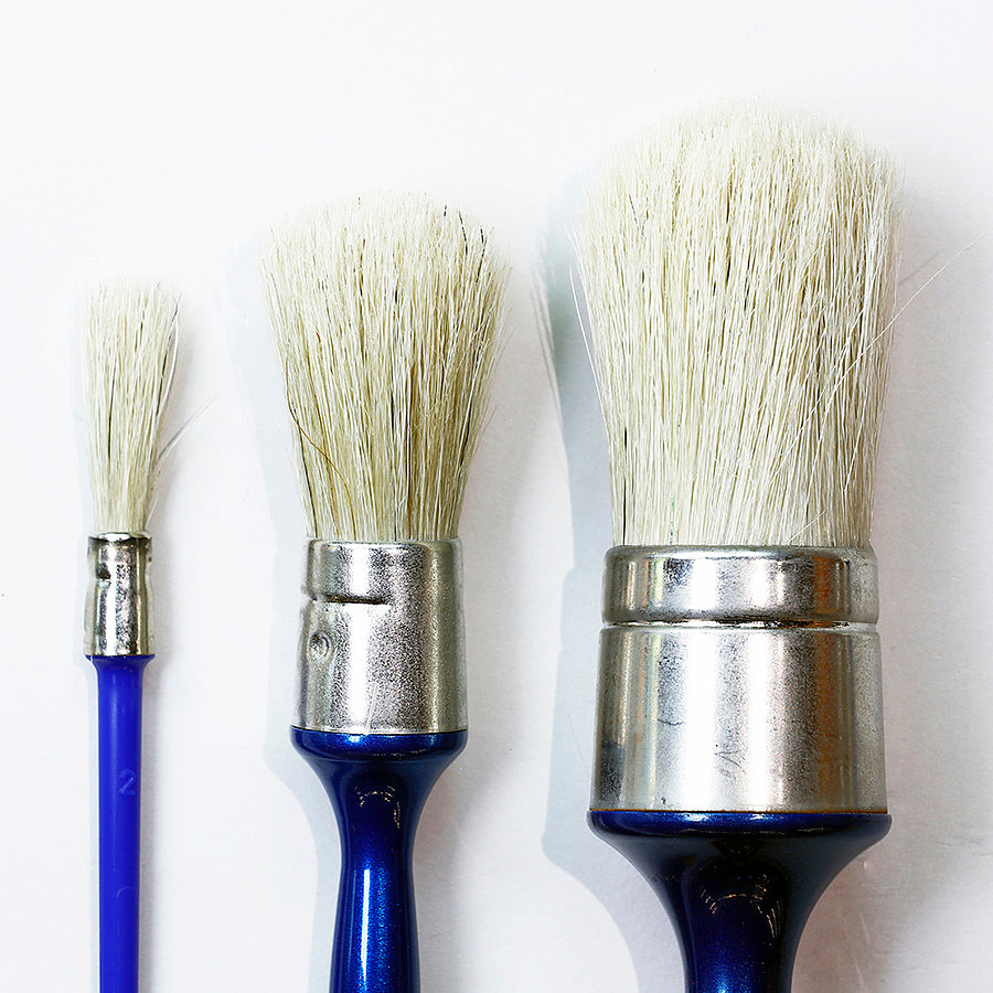 Round Bridled Brush
