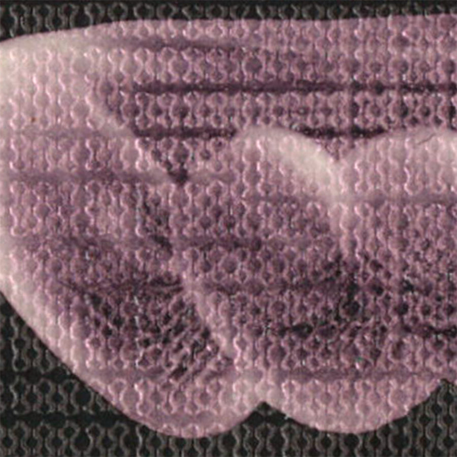 Pearl Color Pearl Pink