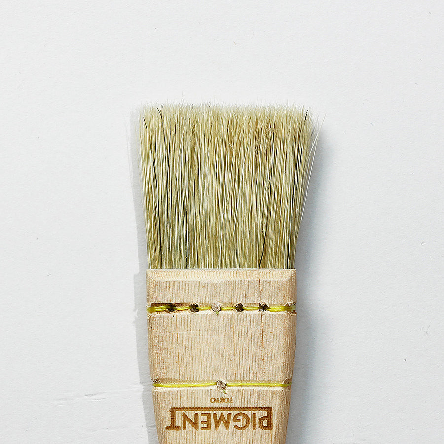 Pig Hair Brush