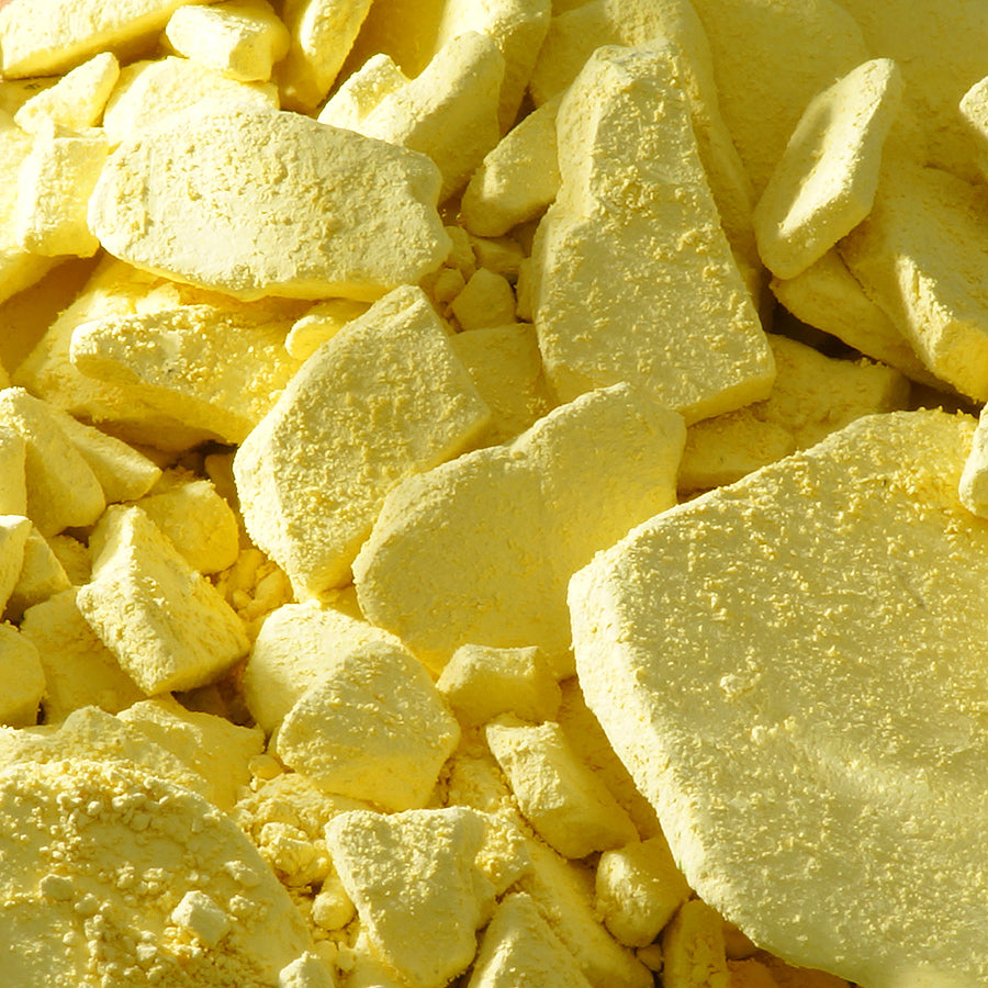 水干 黄肌 - PIGMENT TOKYO