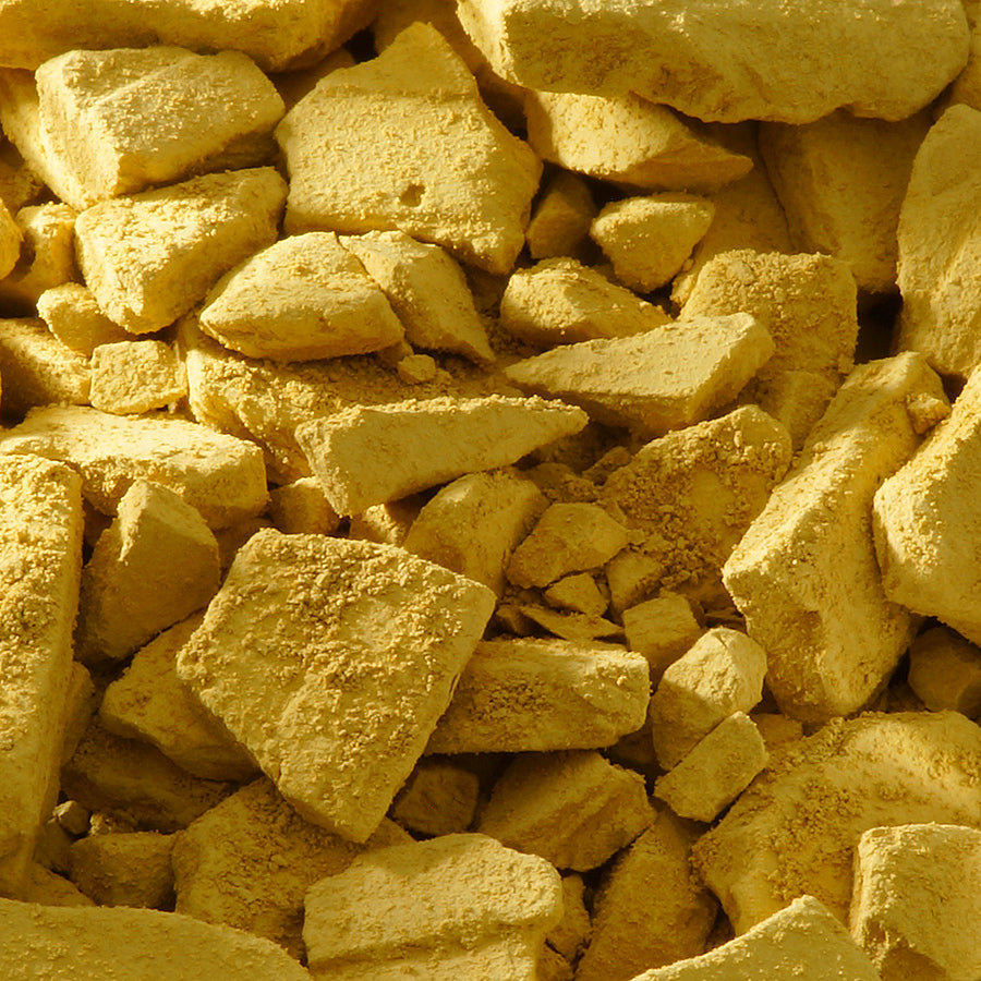 水干 濃口黄土 - PIGMENT TOKYO