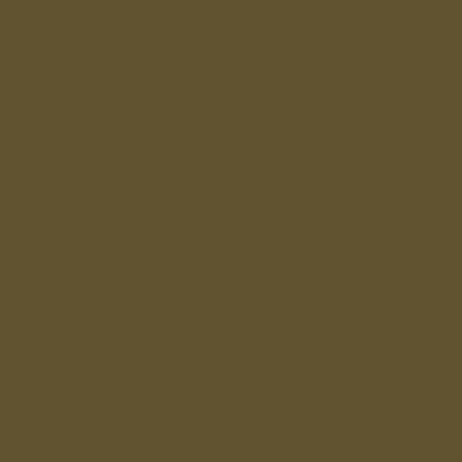 Acrylic Paint Raw Umber