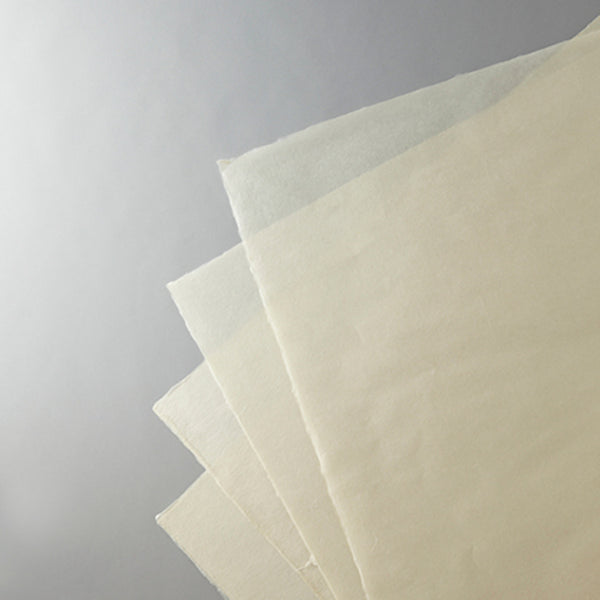 ペーパーマッシュ Amazon.co.jp: DreamKraft ペーパーマッシュ 象のショーピース (6 x