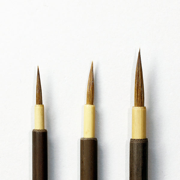 c6c3691fff6b1836ddc4c6ddc990e7